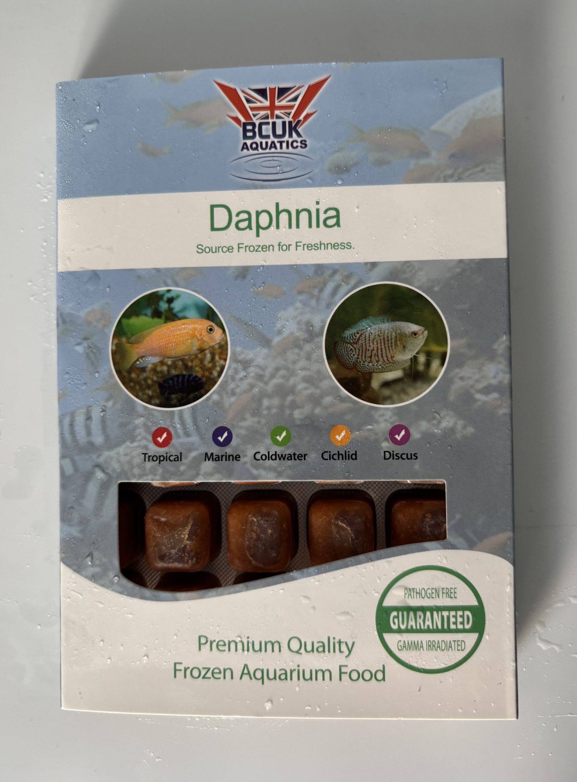 Daphnia Blister Pack